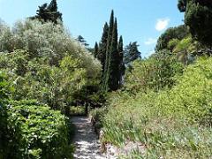 183 HYERES ET SES PALMIERS D02_000041